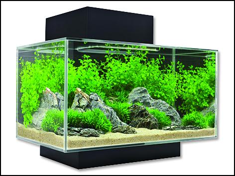 Akvárium Fluval Edge LED Black (23l)