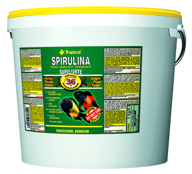 TROPICAL Spirulina Forte 36% 5L/ 1 kg