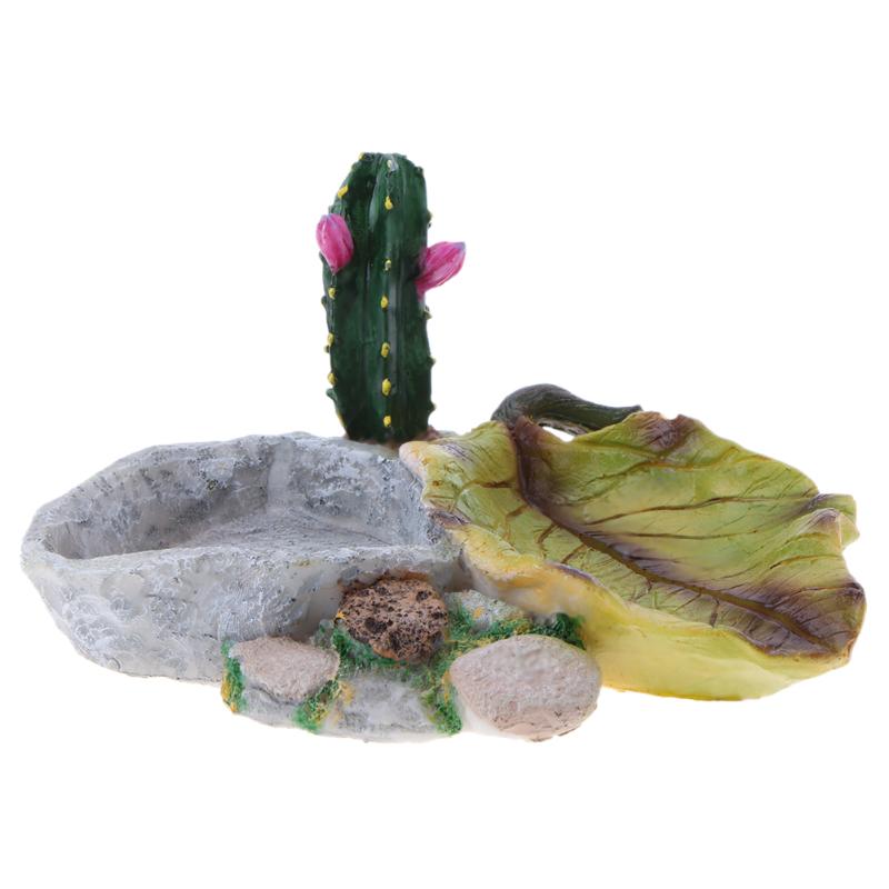 Miska terarijní - dvojitá s kaktusem (x)