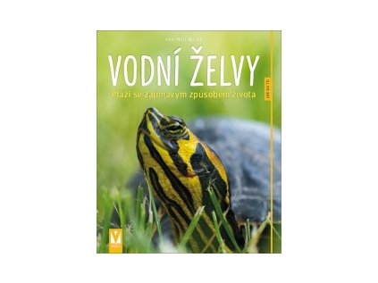 Obrázok