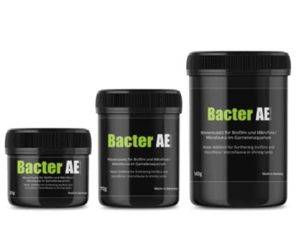 glasgarten bacter ae