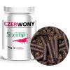 Shrimp nature Red cervena