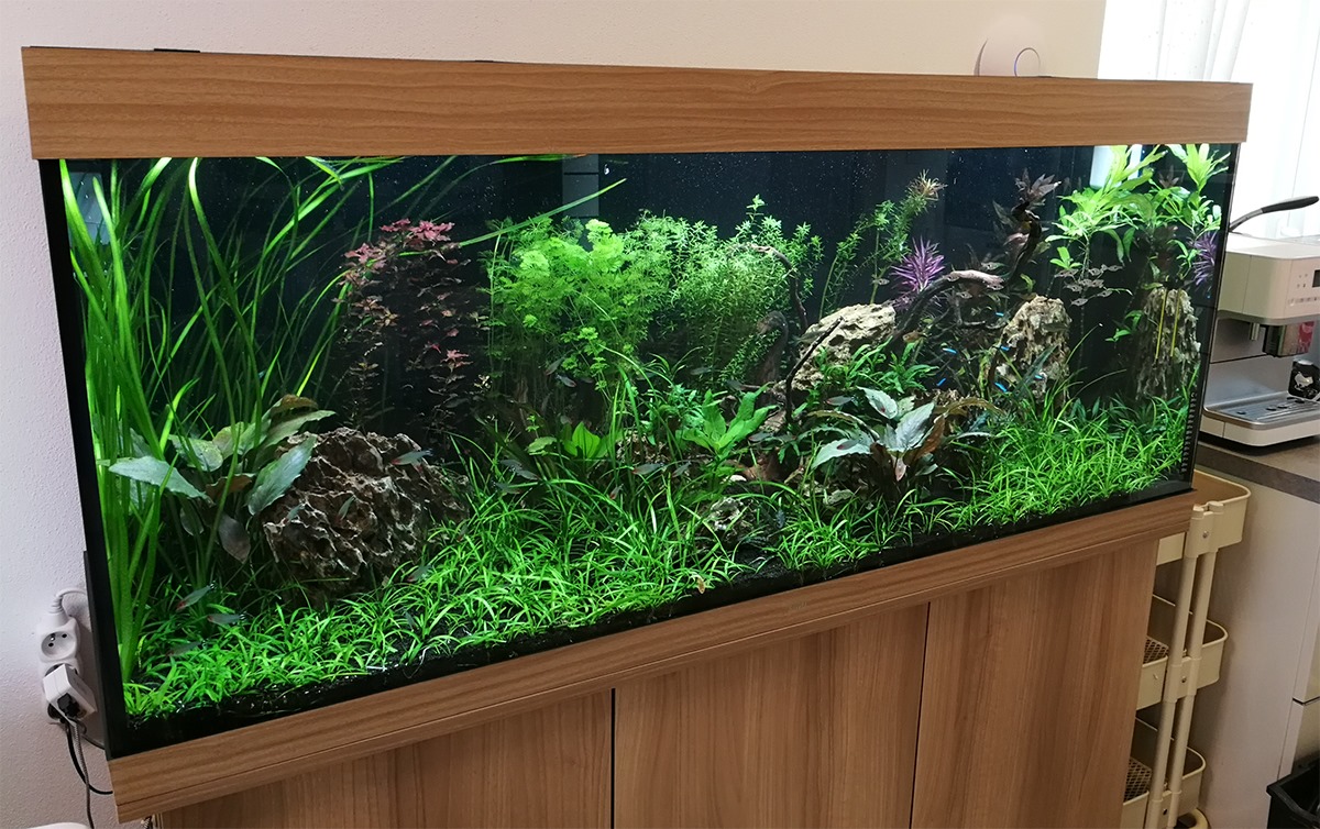 Juwel Rio 400/450LED