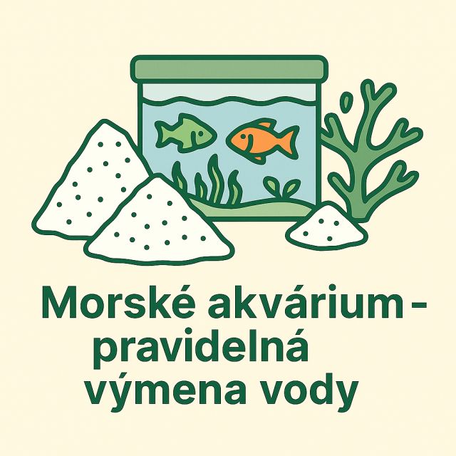 Pravidelný servis a výmena vody – základ zdravého morského akvária