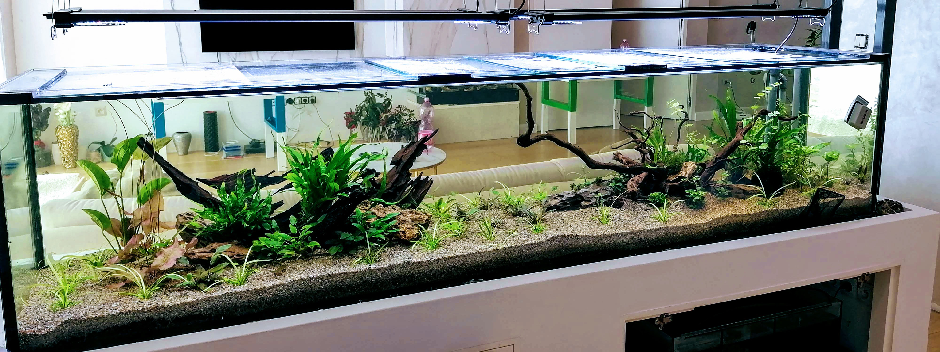 Akvaristika akvaland sk