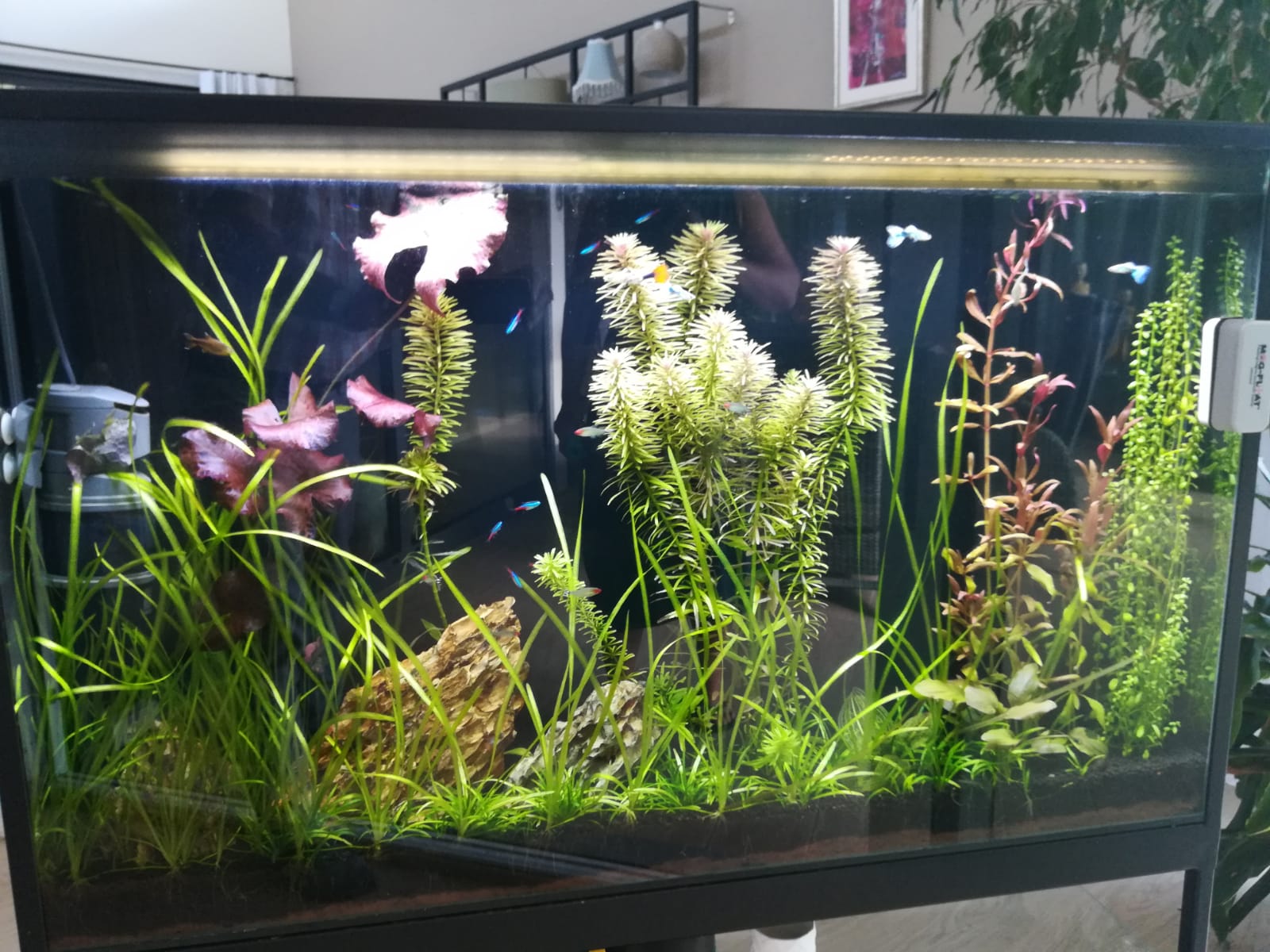 akvarium-hainburg