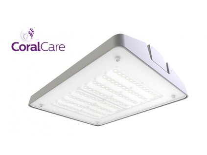 philips coralcare grey 1