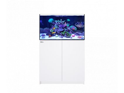 Red Sea REEFER 250 white