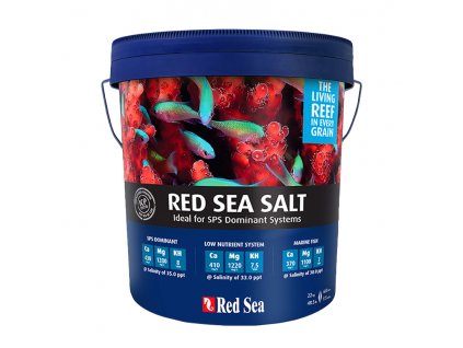 red sea salt