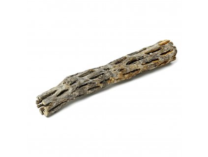 Cholla wood 15 cm