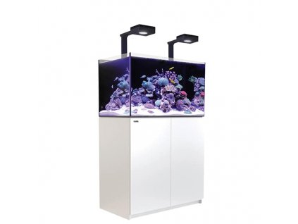 redsea reefer 250 deluxe white