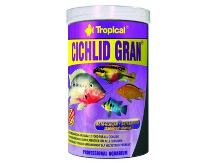 tropical cichlid gran