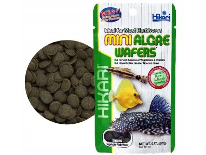 hikari mini algae wafers