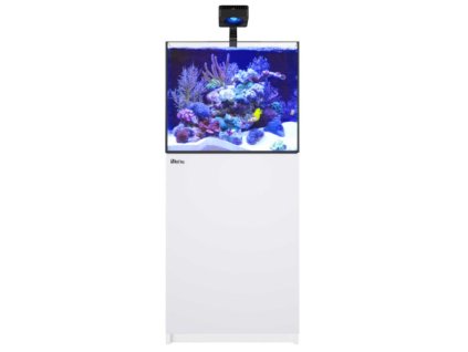 200 W Doors copy 11126 81033