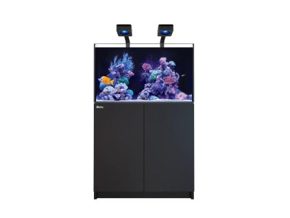 250 b doors no label ezgif.com webp to jpg converter