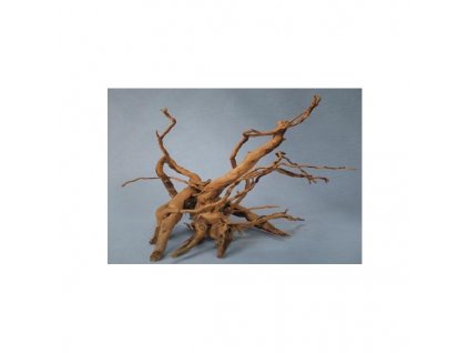 Koreň Finger Wood - malý  dekoračný koreň do akvária