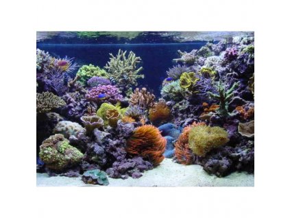 Akvárium na kľúč  sladkovodné aj morské akvárium