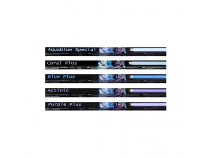 ATI Blue plus T5
