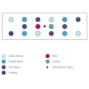 Meerwasser LED Modul 1