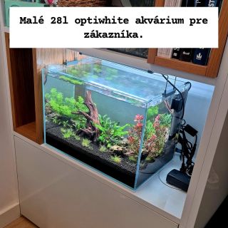 28l full optiwhite. Started 27.02.2026