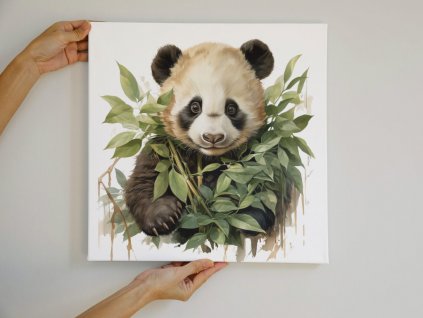 Panda v1