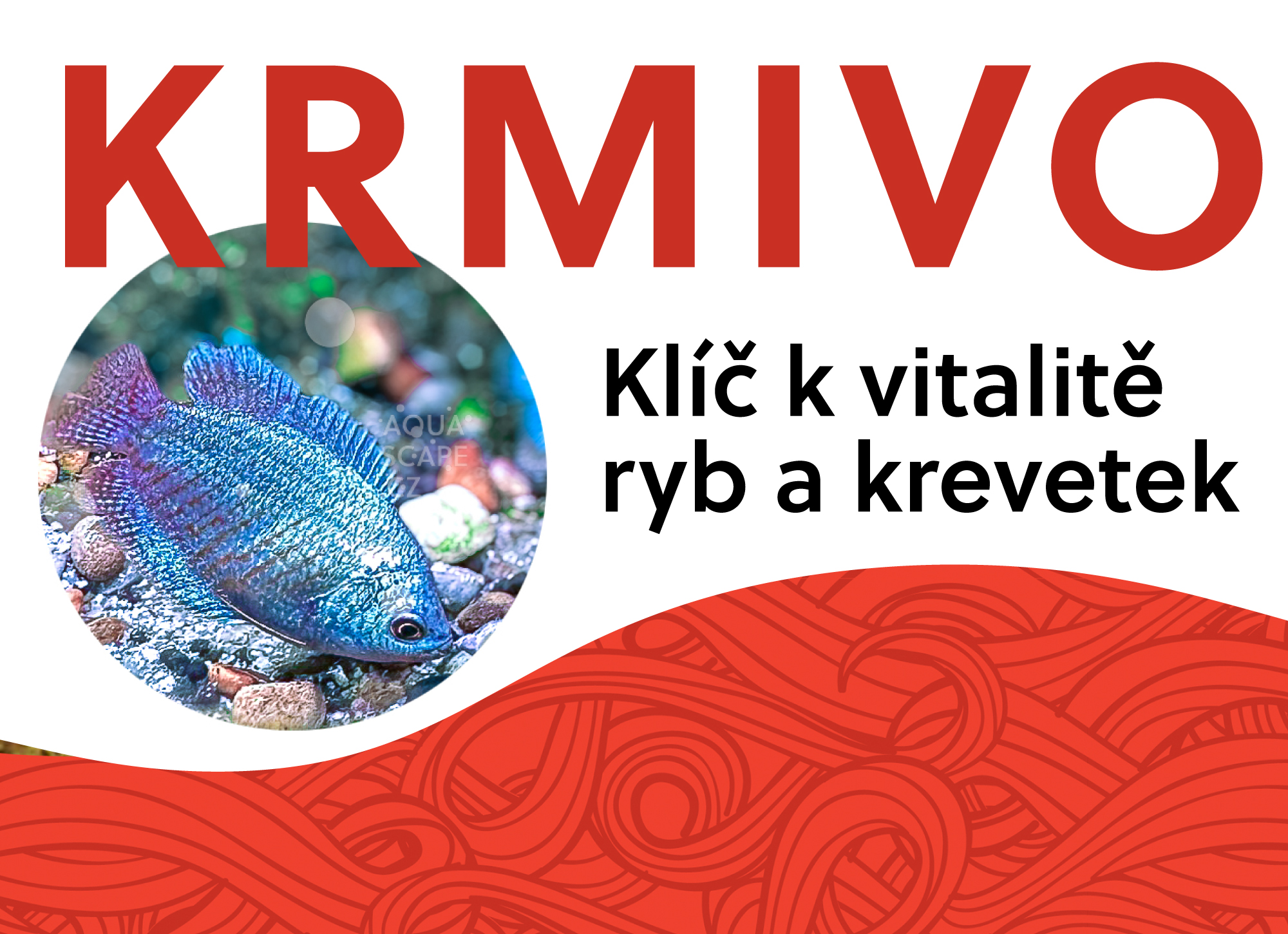 Krmivo pro ryby a krevetky: Klíč k jejich vitalitě