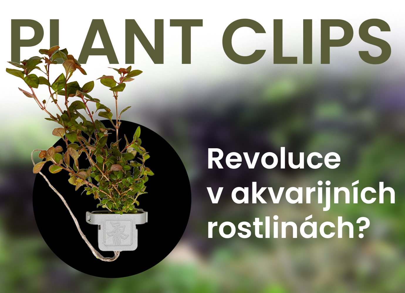 Revoluce v akvarijních rostlinách? Tropica Plant Clips