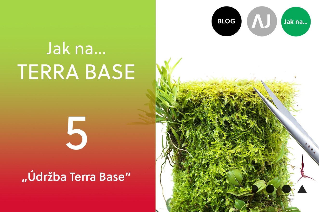 AQUA JOURNAL: Jak na… TERRA BASE #05
