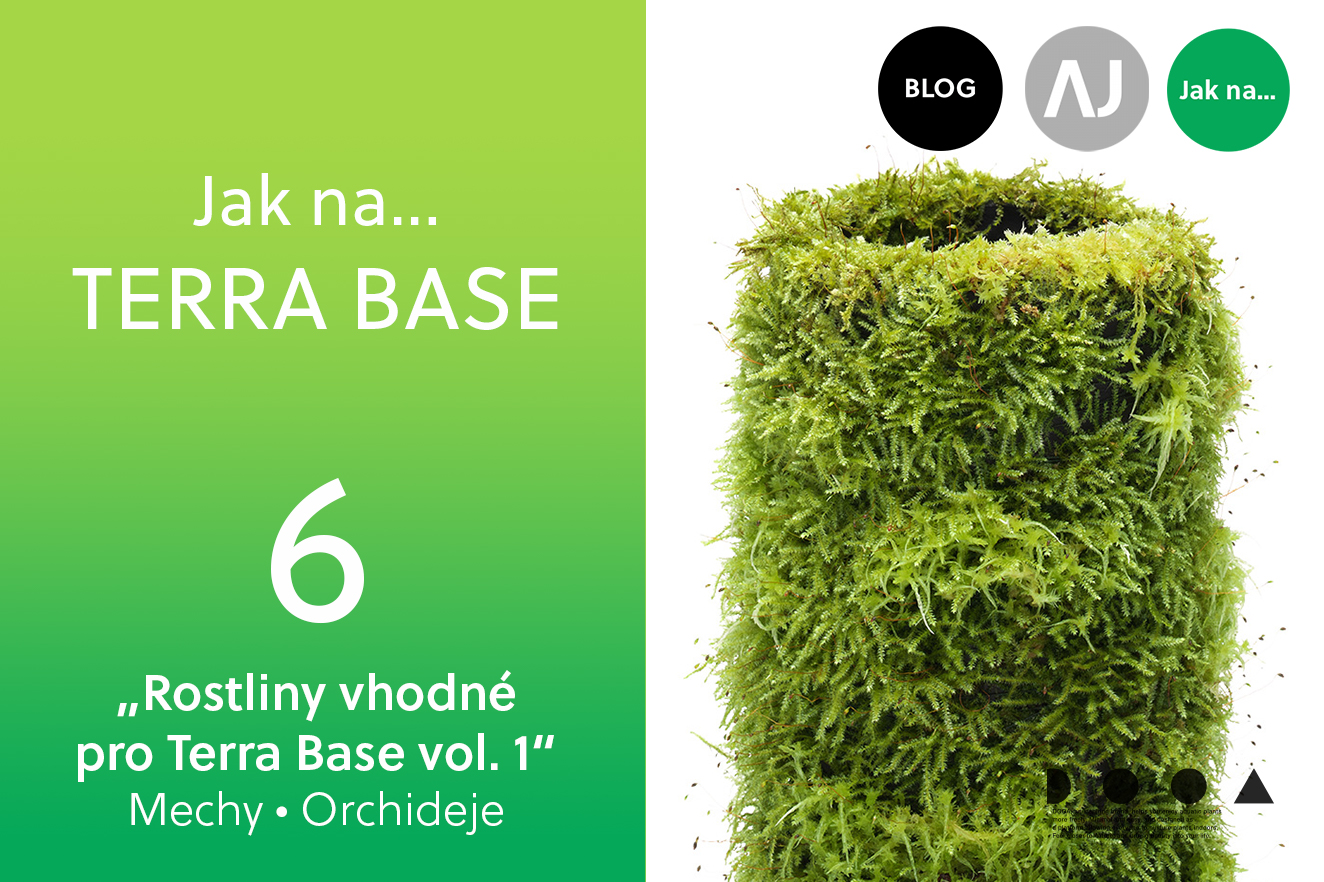AQUA JOURNAL: Jak na… TERRA BASE #06