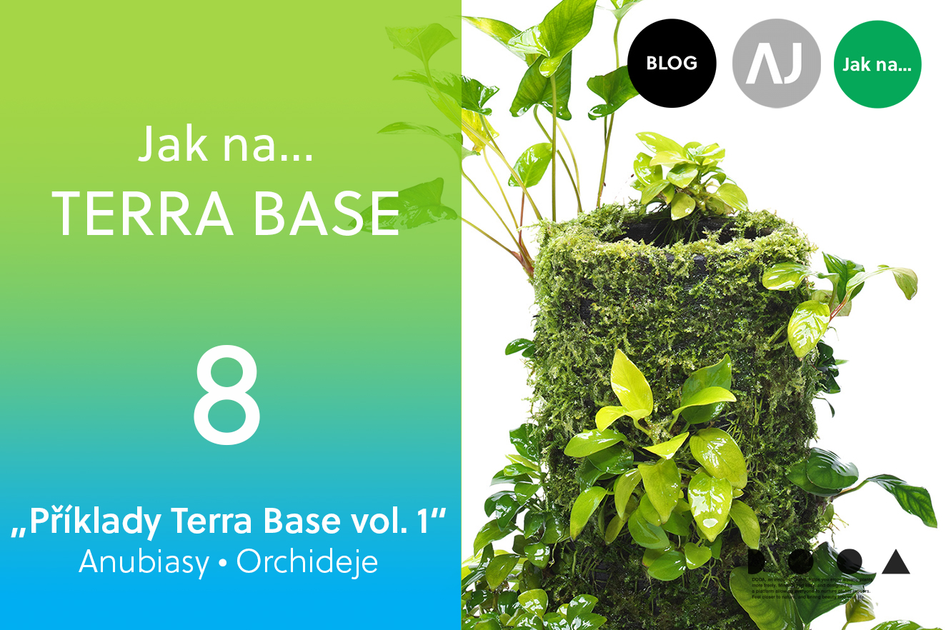 AQUA JOURNAL: Jak na Terra Base… #08