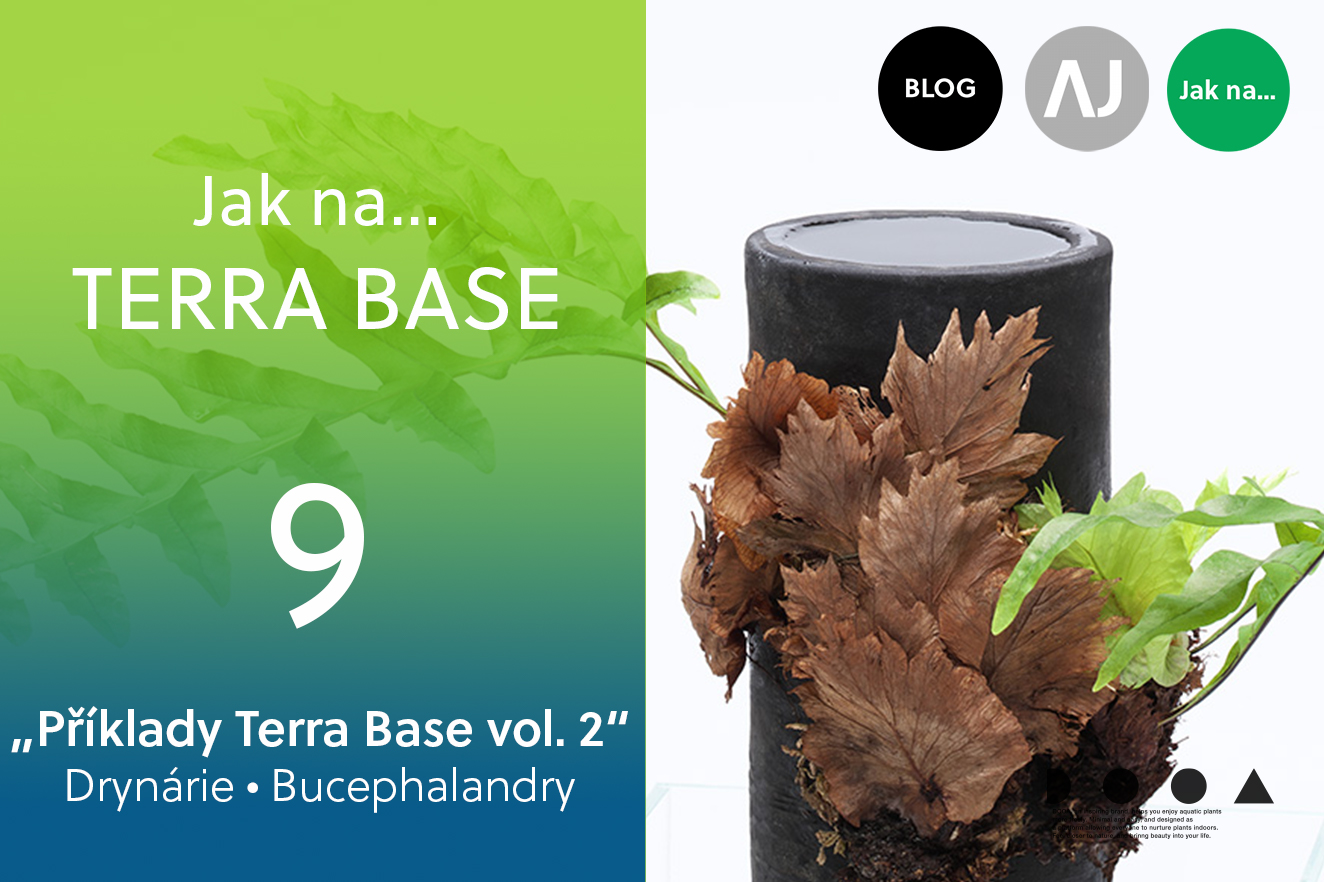 AQUA JOURNAL: Jak na Terra Base… #09
