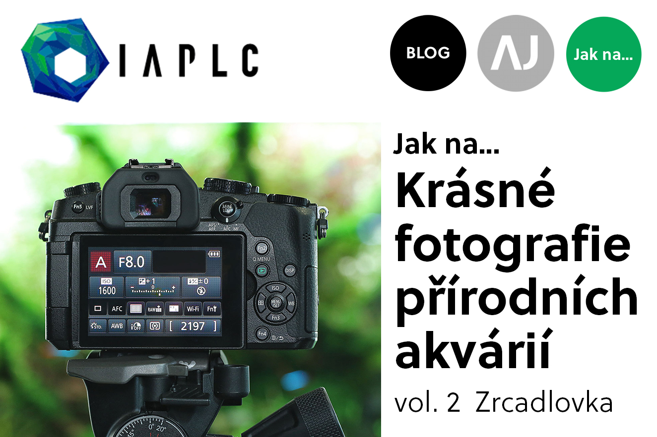 IAPLC: Jak na… Krásné fotografie přírodních akvárií vol. 2 Zrcadlovka