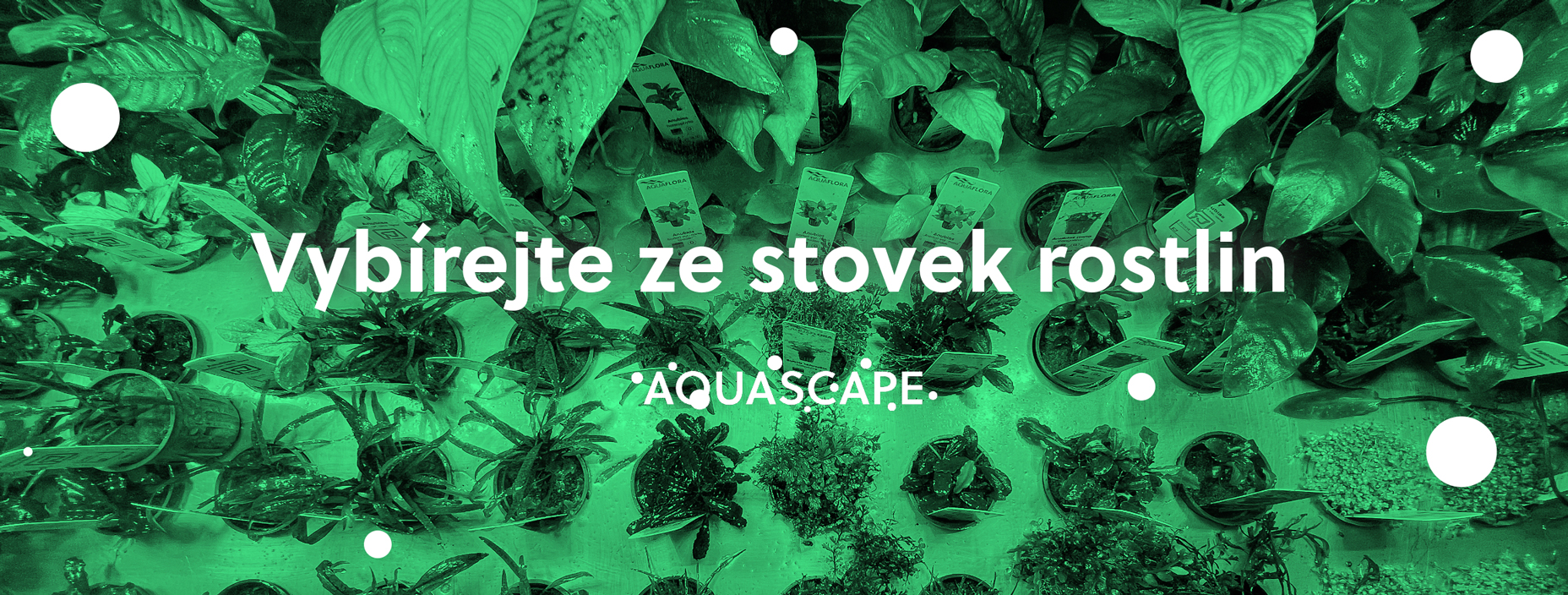 vybírejte ze stovek rostlin