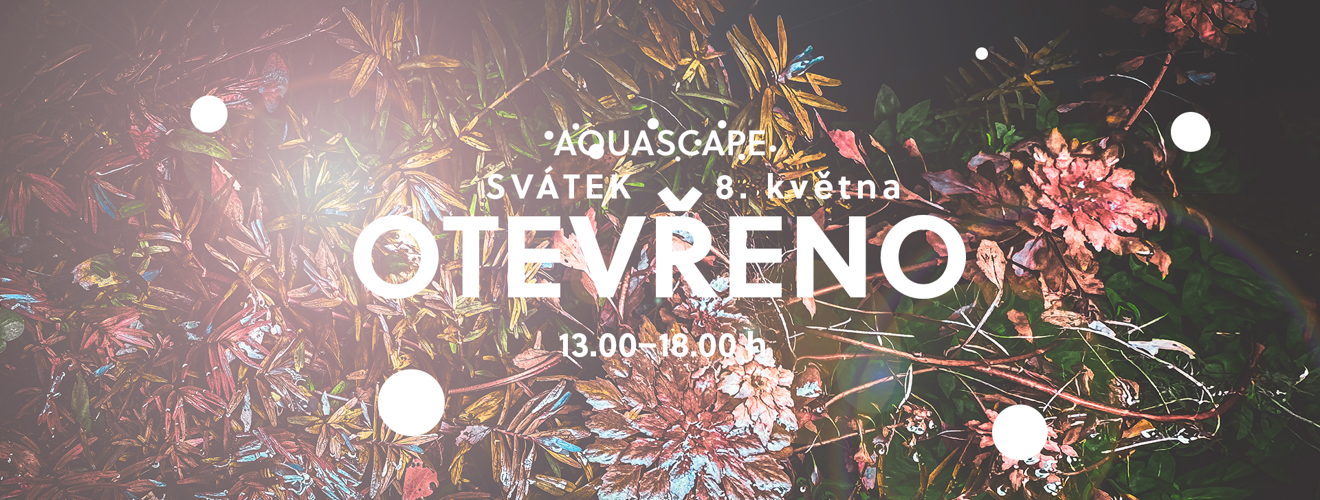 8. 5. 2026 otevřeno