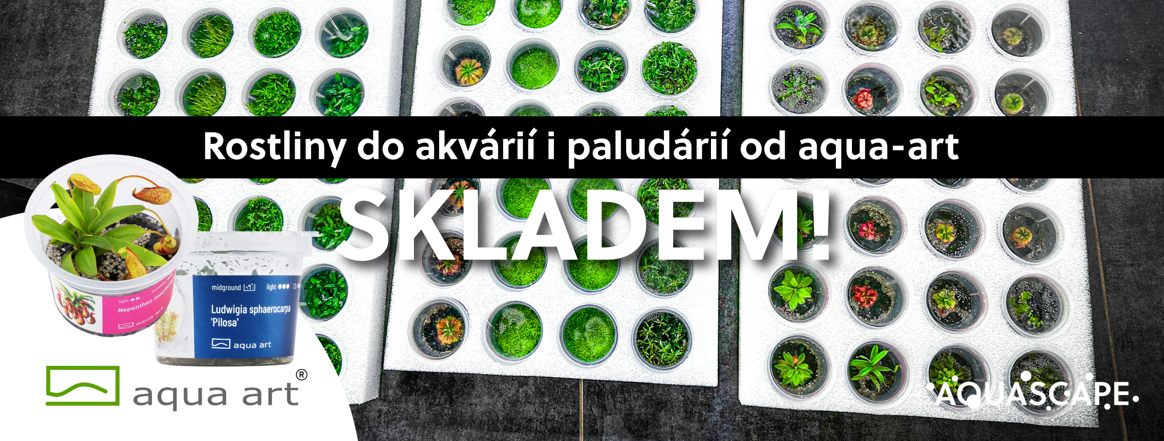 aqua-art právě naskladněno