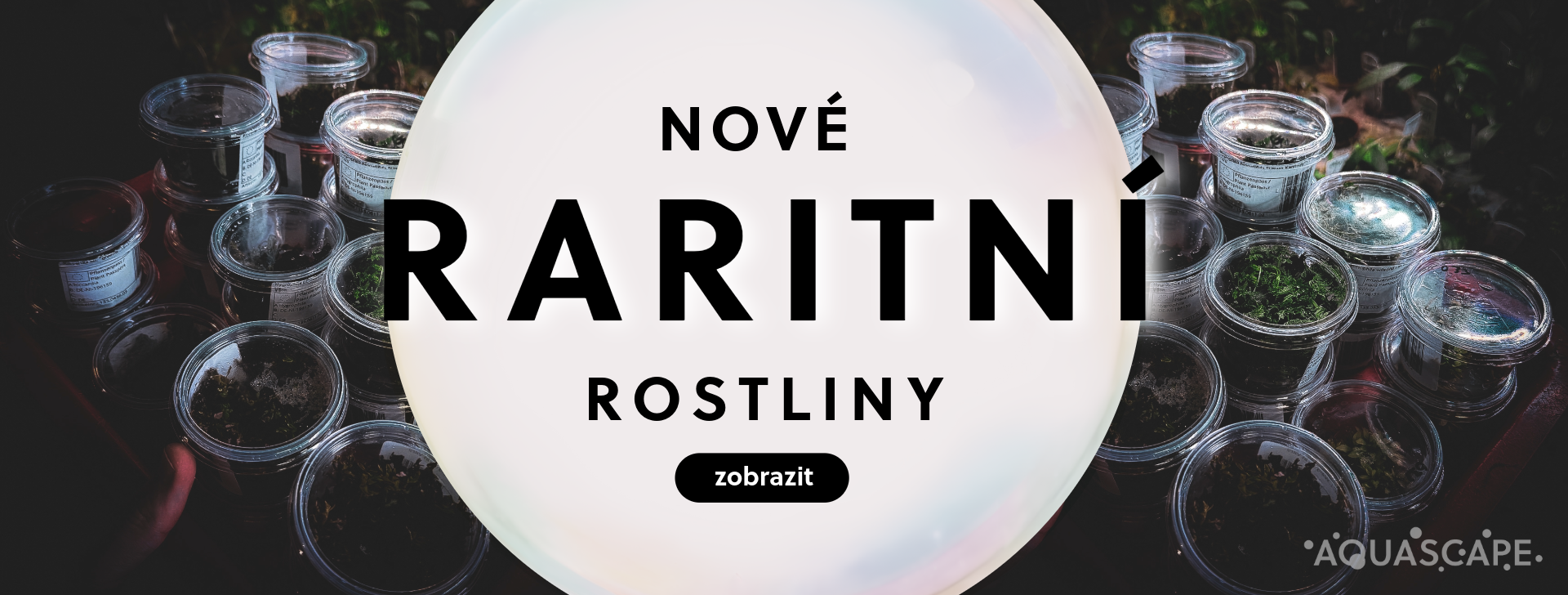 Nové raritní rostliny