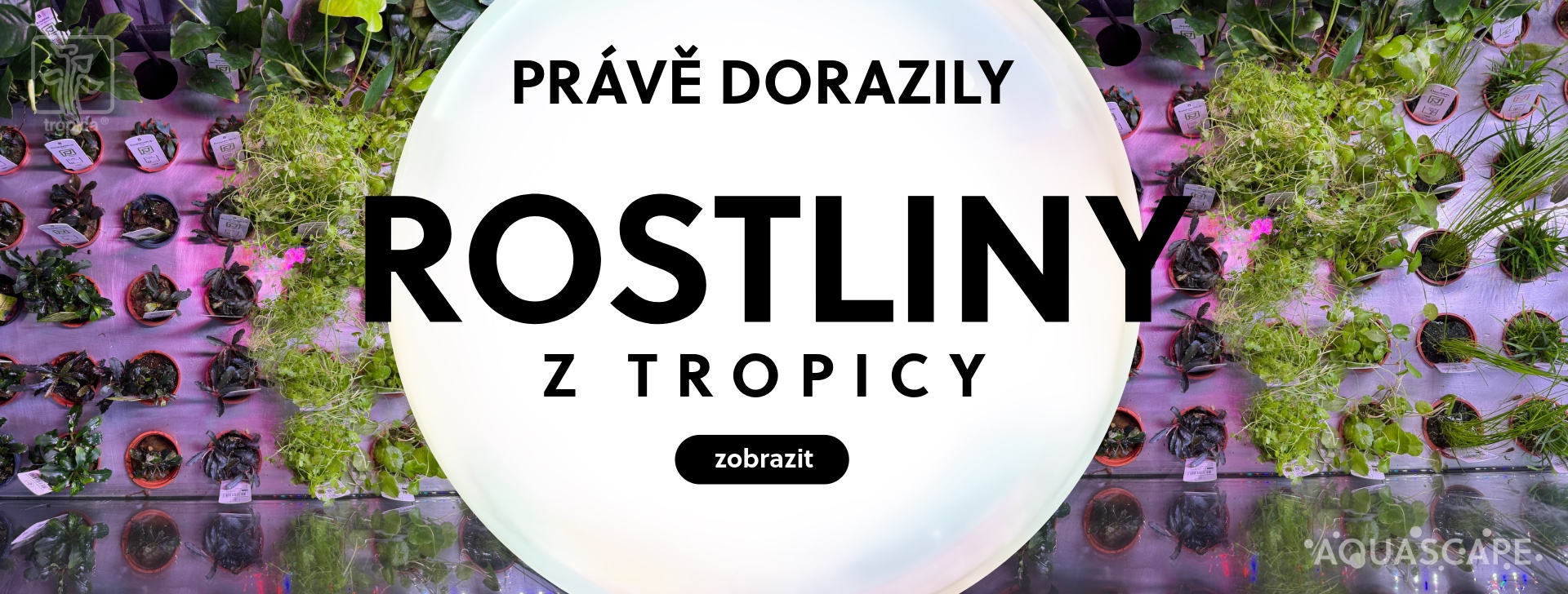 Tropica naskladněno
