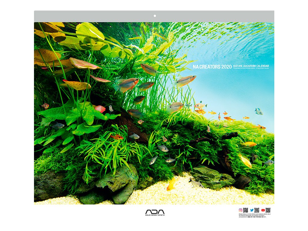 Kalendář ADA NA Calendar 2020 Aquascape.cz
