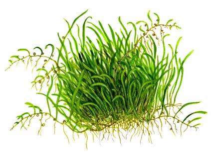 imgi 11 imagegen (3)