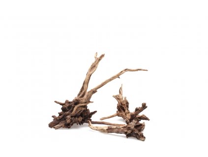 ADA Slim wood XL (box 5ks)