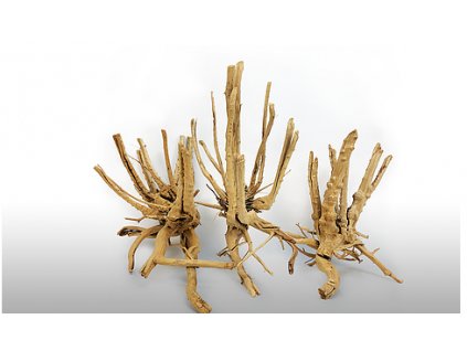 AV Forest tree wood 1