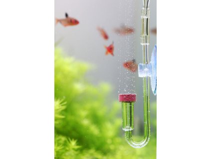 Aquario NEO Co2 difuzor S
