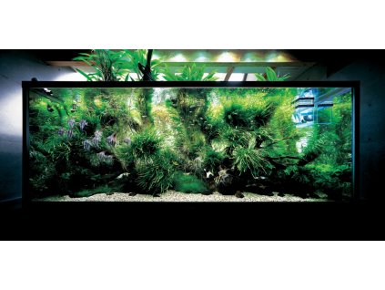 Takashi Amano Home Aquarium ADA