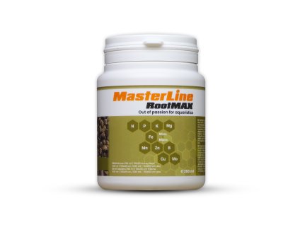 MSTLRM 250