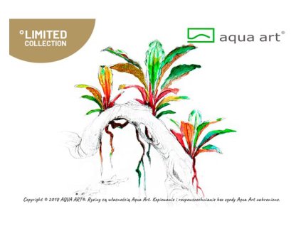 imgi 6 3 20240218124328