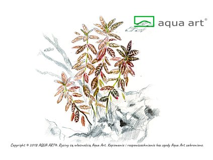 imgi 4 23466877 3354