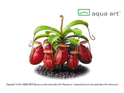 imgi 2 26226479 3859