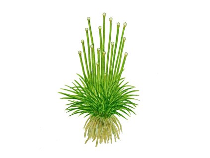 imgi 12 imagegen (3)