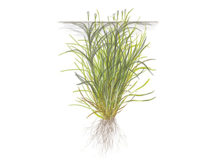imgi 12 imagegen (2)