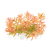 imgi 13 imagegen (4)